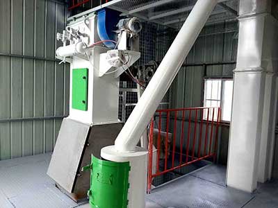 5-6T/H