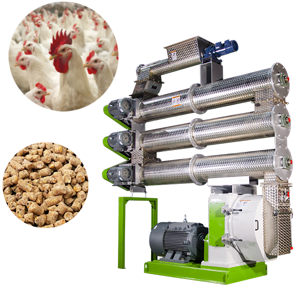 broiler feed making machine