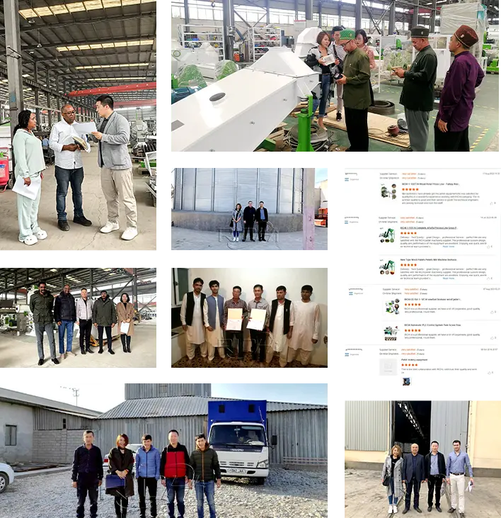 Client photos and feedback