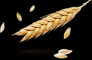 Key Advantages of Chicken Feed Pellets