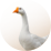 goose