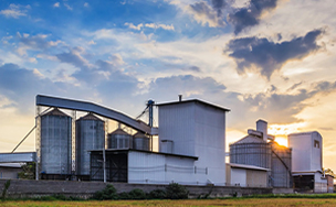 Aquatic and Livestock Feed Pellet Production Line Project