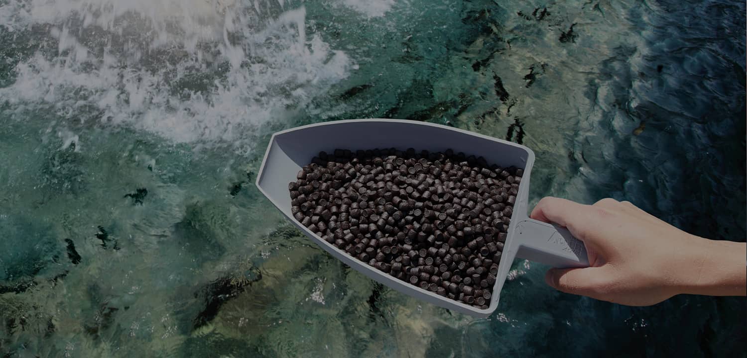 aquatic feed production line video cover