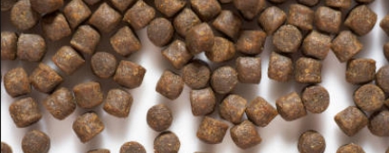 Fish Feed Extrusion Pellets