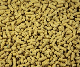 Herbivores + Grains Pellets