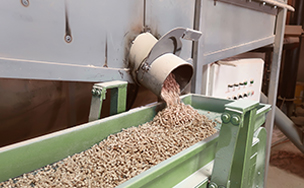 Livestock Feed Production Line Project