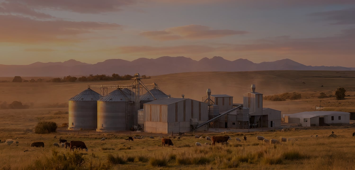 Livestock feed production line project cases