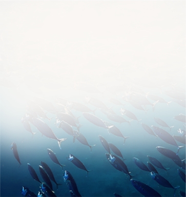 Sinking Fish Feed Machine