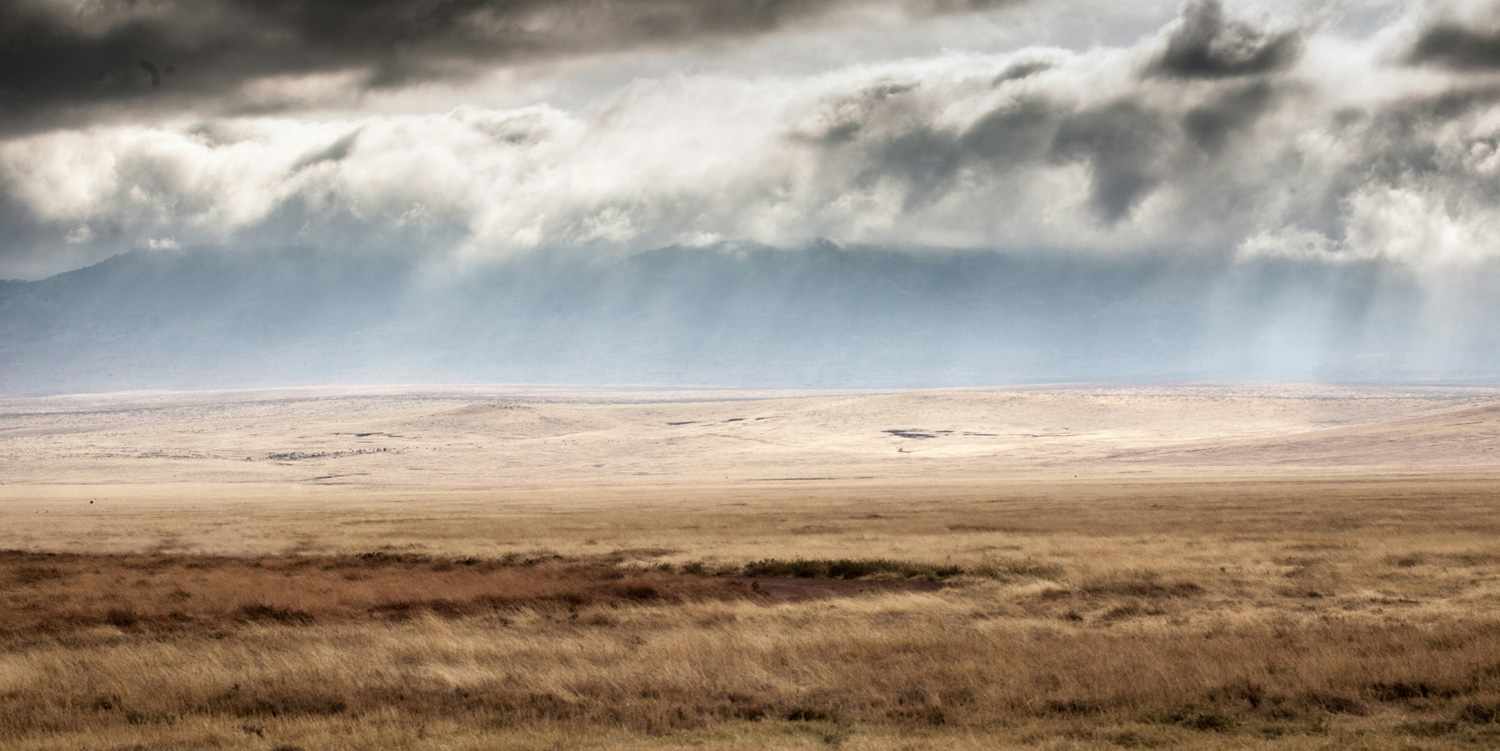 Different types of aquatic feed making machines banner