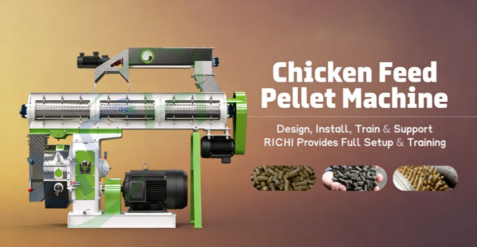 Introduction of Chicken Feed Pellet Machine for Sale Global